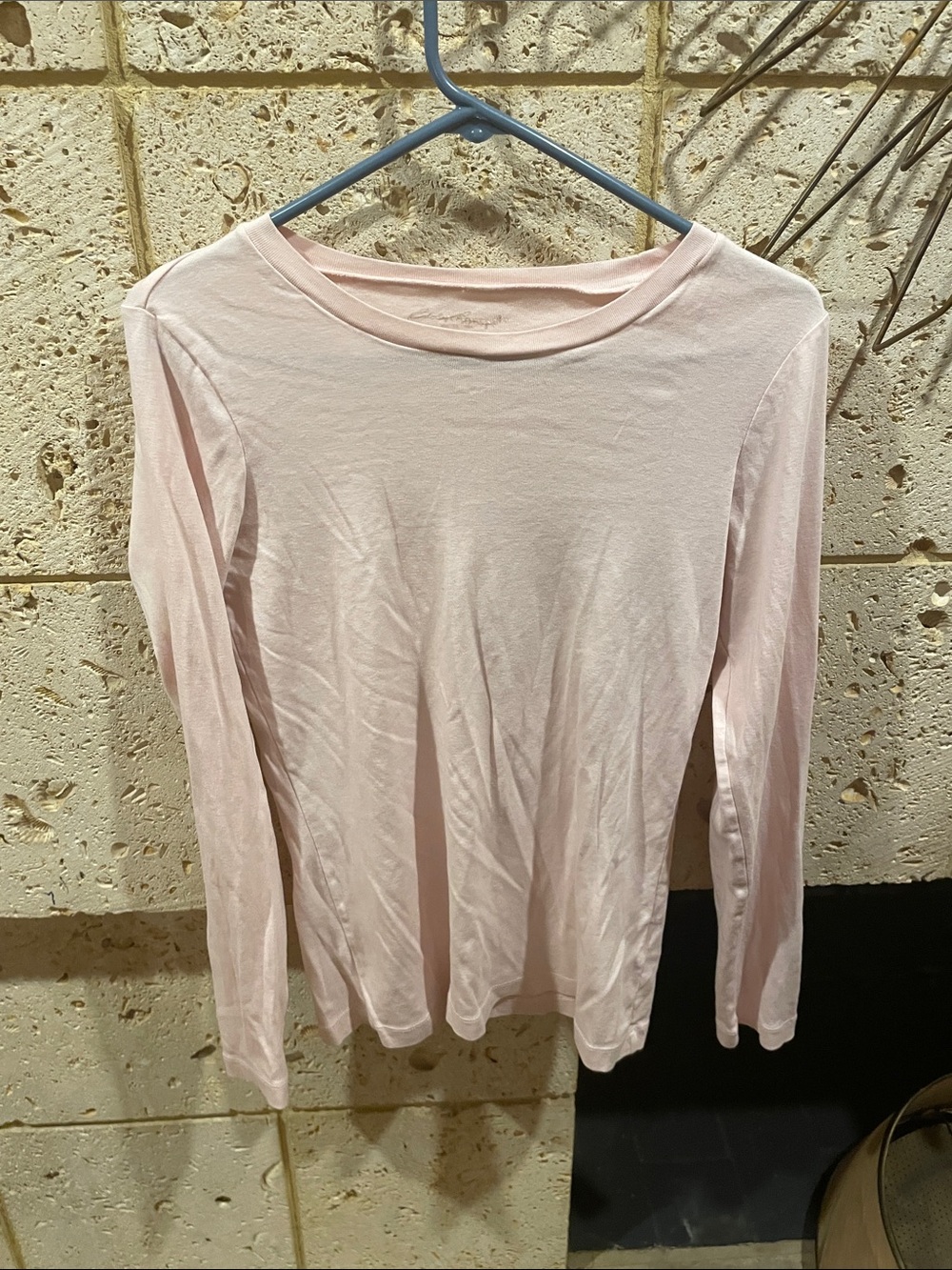 Light Pink Long-Sleeve Women’s Crewneck Top